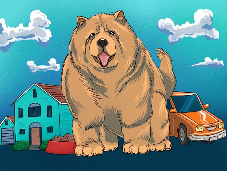 Chow chow dog chewy inc nyse chwy (1)